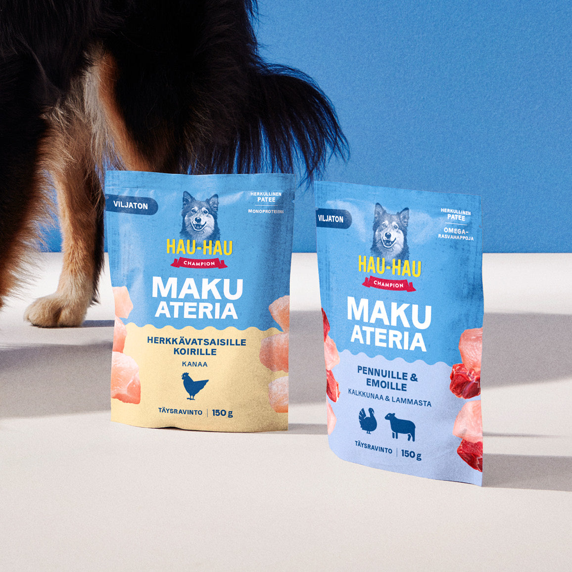Makuateria kana viljaton märkäruoka herkkävatsaiselle koiralle