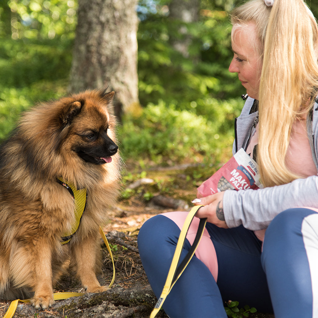 Nostokuva Koti Koiralle -sarjan jaksoille, kuvassa nainen ja koira sekä Hau-Haun makupaloja