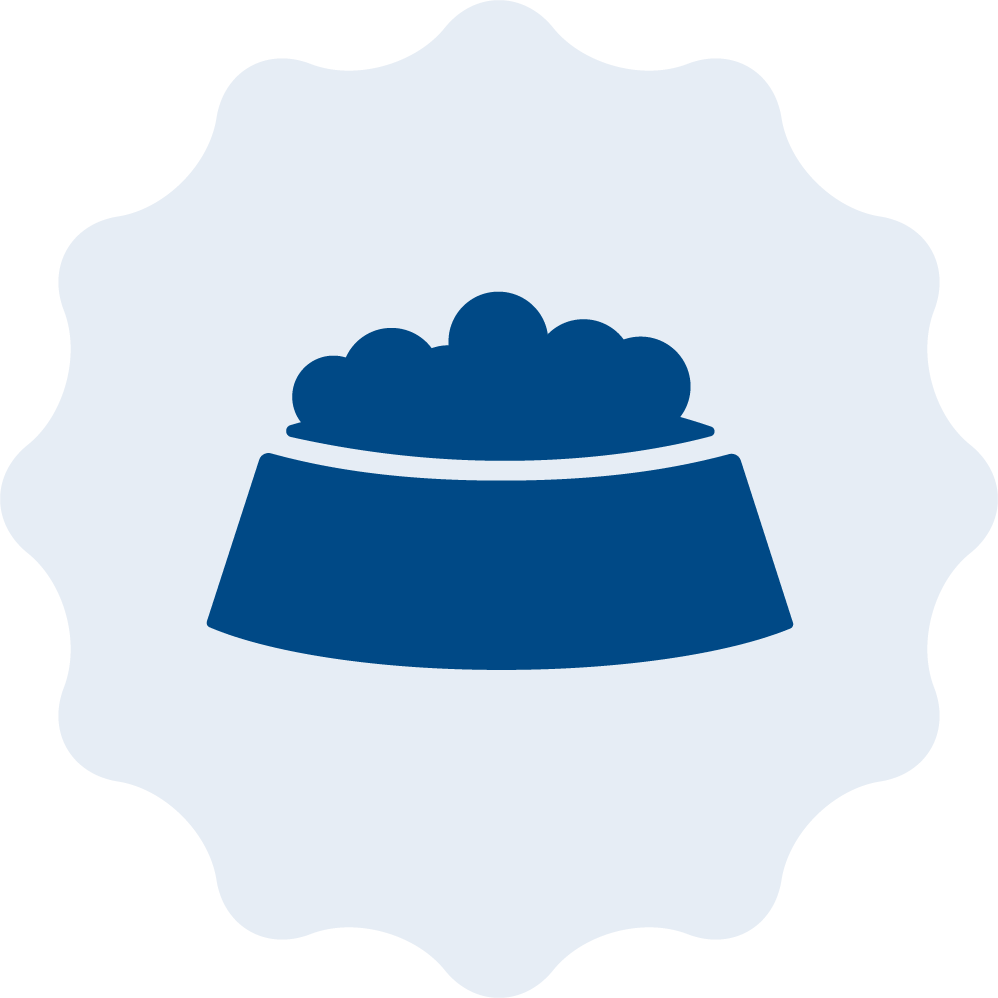 Kuvituskuva, kuvassa grafiikkakuva koiran ruokakupista